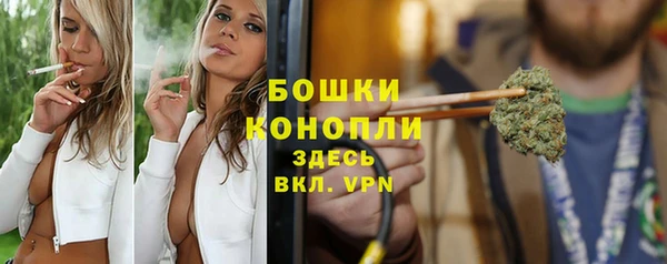 сатива Кукмор