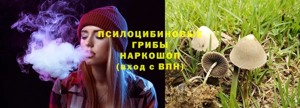 сатива Кукмор