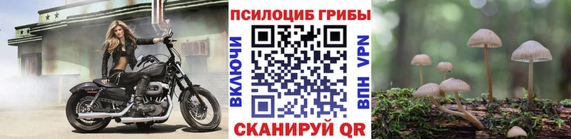 Галлюциногенные грибы Psilocybine cubensis  Купить закладки  Змеиногорск 